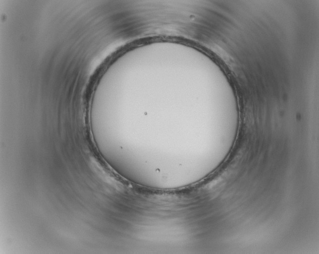 X0000088841118200707051441