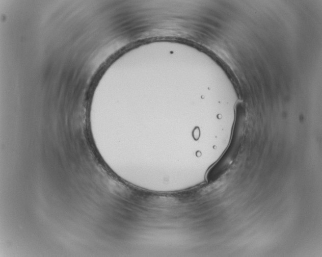 X0000088841119200707051441