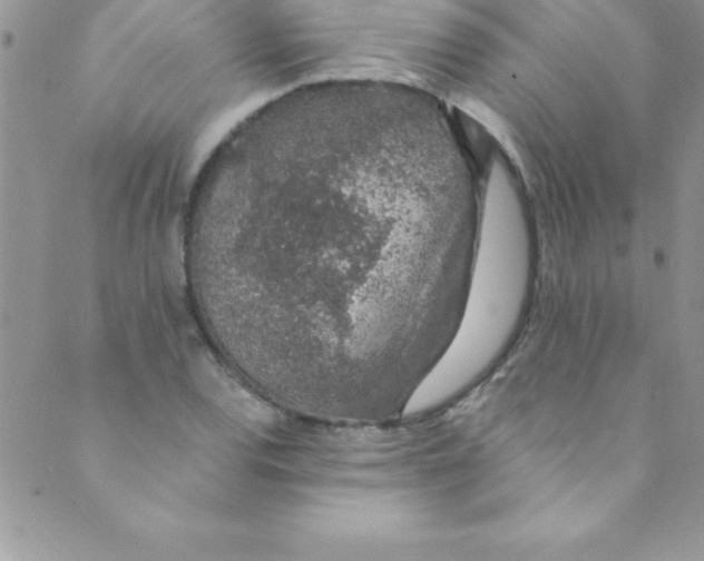 X0000088841120200707051441