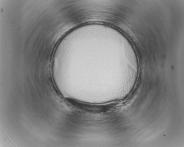 X0000088841121200707051441