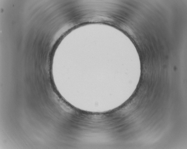 X0000088841122200707051441