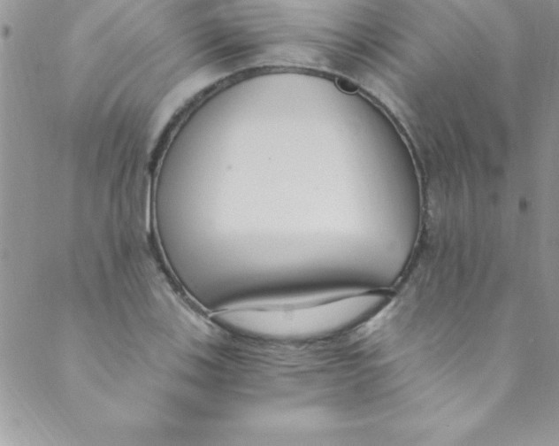 X0000088841123200707051441