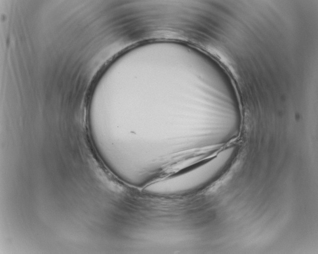 X0000088841125200707051441