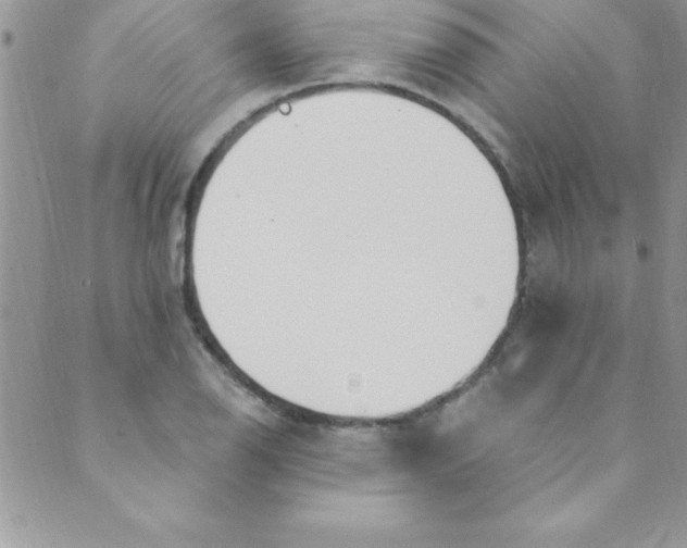 X0000088841126200707051441