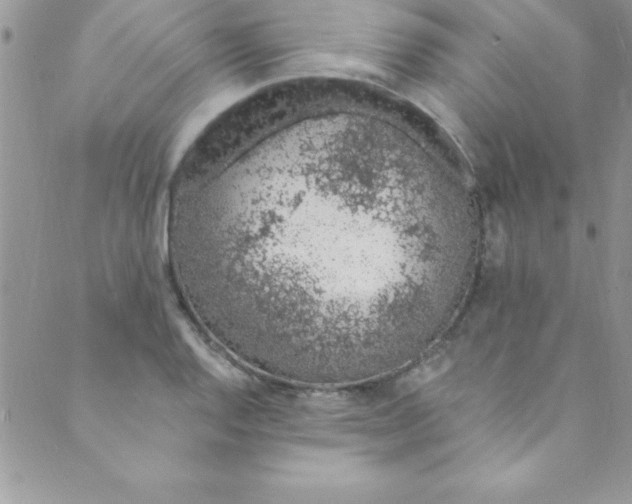 X0000088841128200707051441