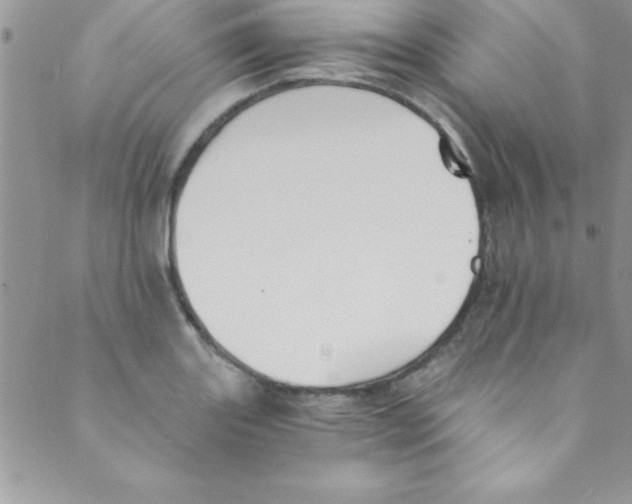 X0000088841131200707051441