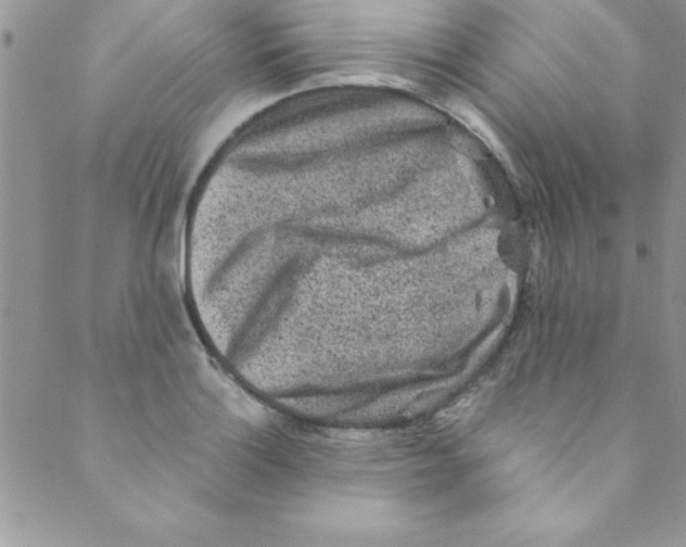 X0000088841132200707051441