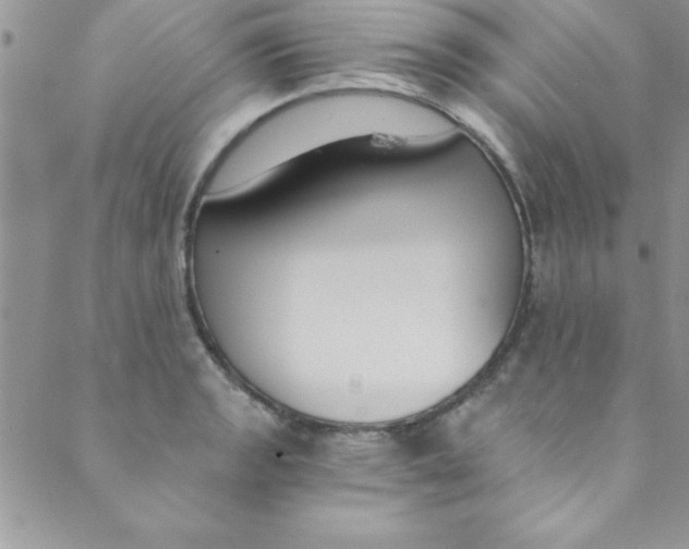 X0000088841133200707051441