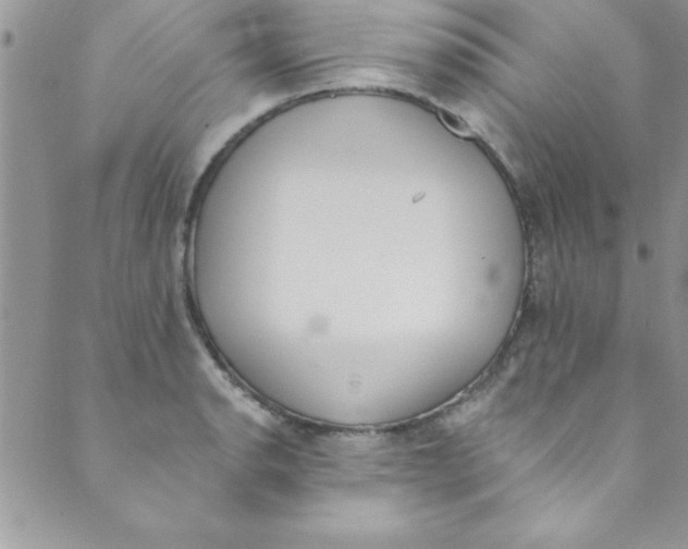 X0000088841134200707051441