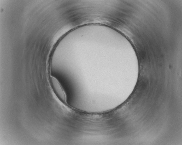 X0000088841135200707051441