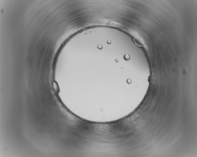 X0000088841136200707051441