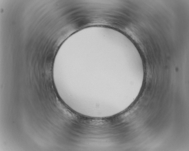 X0000088841137200707051441