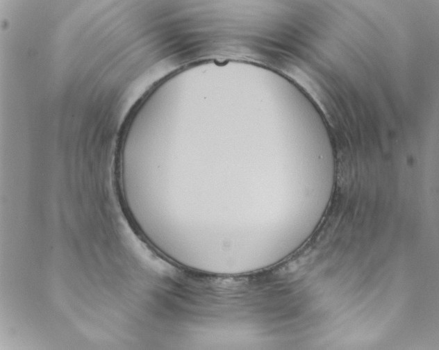 X0000088841139200707051441