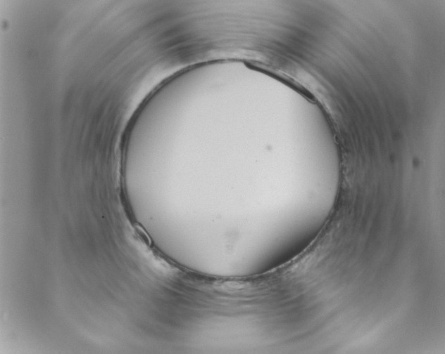 X0000088841140200707051441