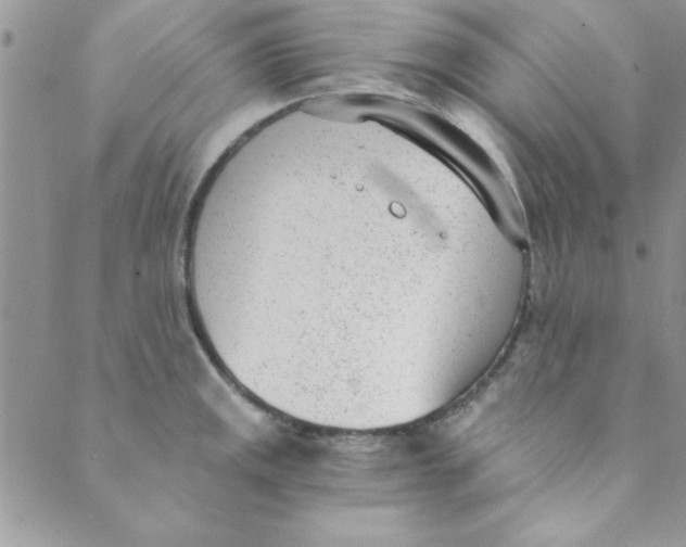 X0000088841141200707051441