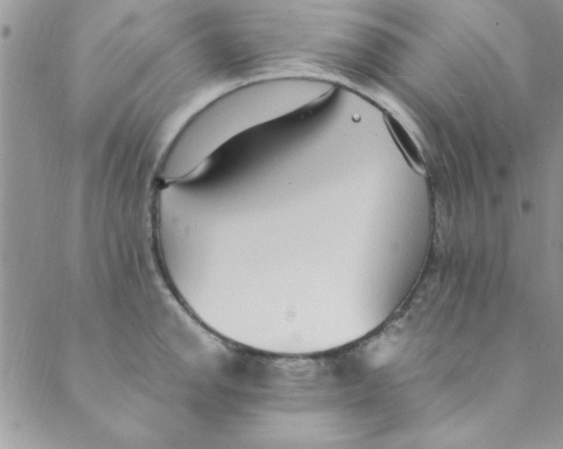 X0000088841142200707051441