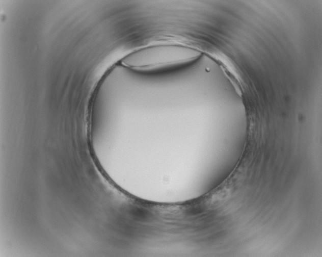 X0000088841143200707051441