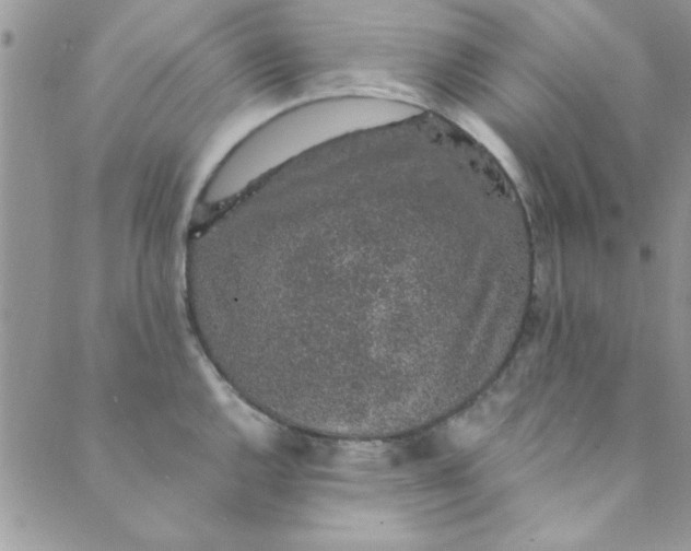 X0000088841144200707051441