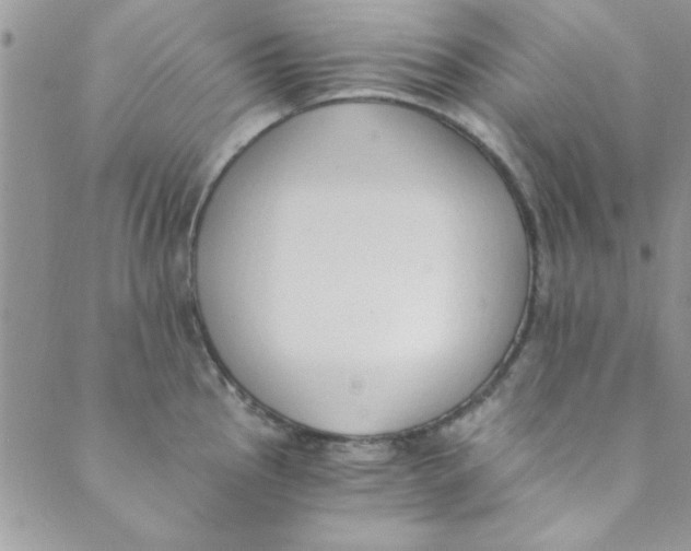 X0000088841145200707051441