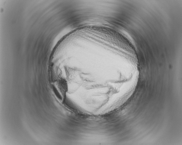 X0000088841146200707051441