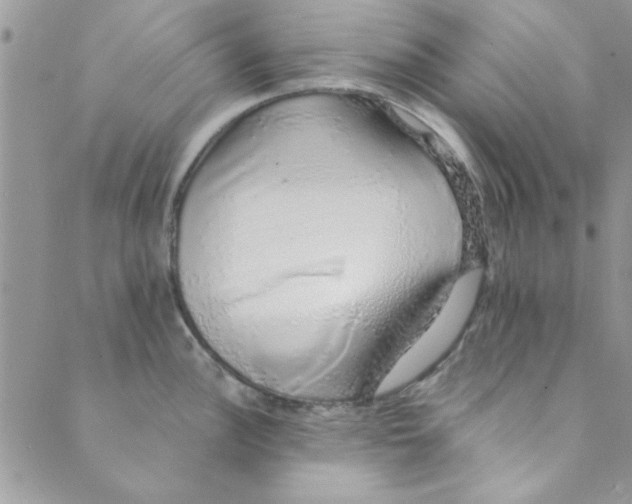 X0000088841148200707051441