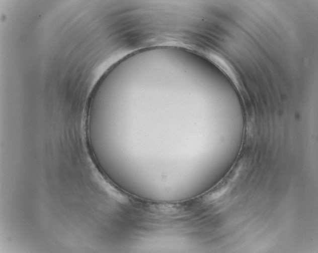 X0000088841149200707051441