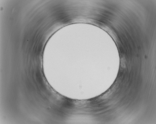 X0000088841150200707051441