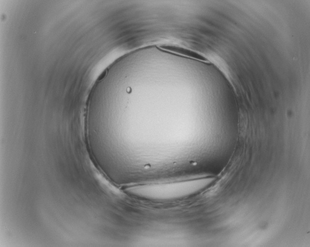 X0000088841151200707051441