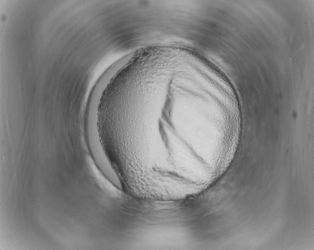 X0000088841152200707051441