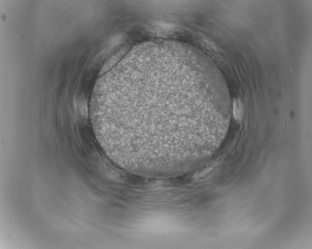 X0000088841155200707051440