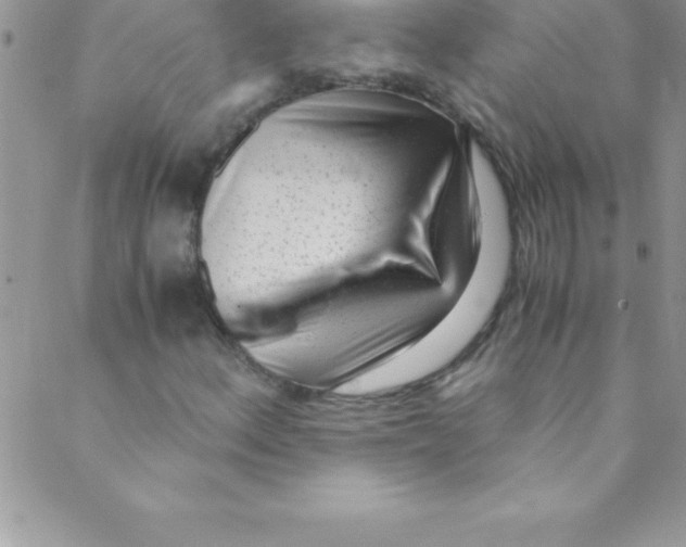 X0000088841156200707051440