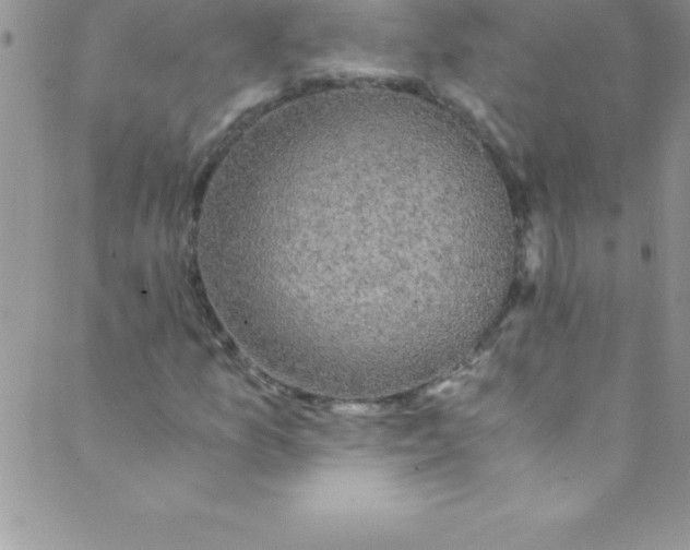 X0000088841157200707051440