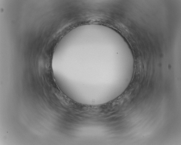 X0000088841158200707051440