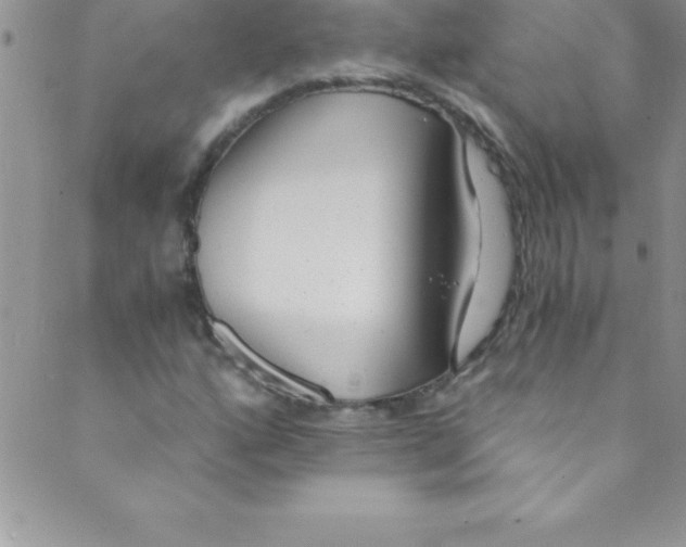 X0000088841160200707051440