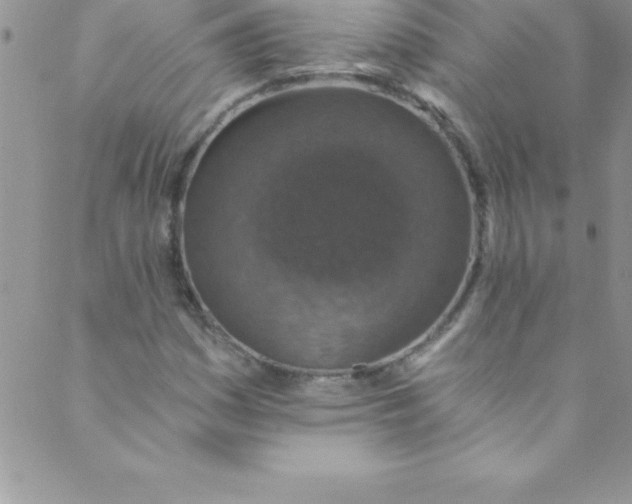 X0000088841161200707051440