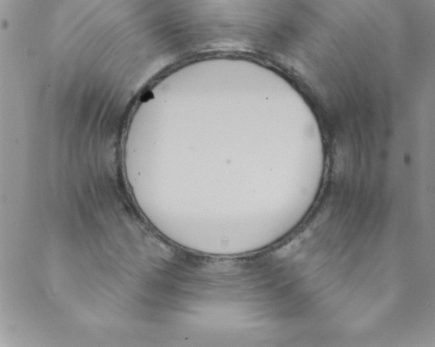 X0000088841162200707051440