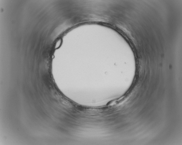 X0000088841163200707051440