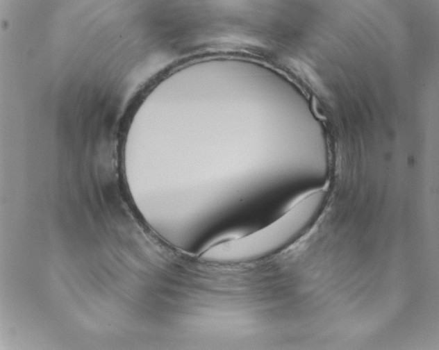 X0000088841164200707051440