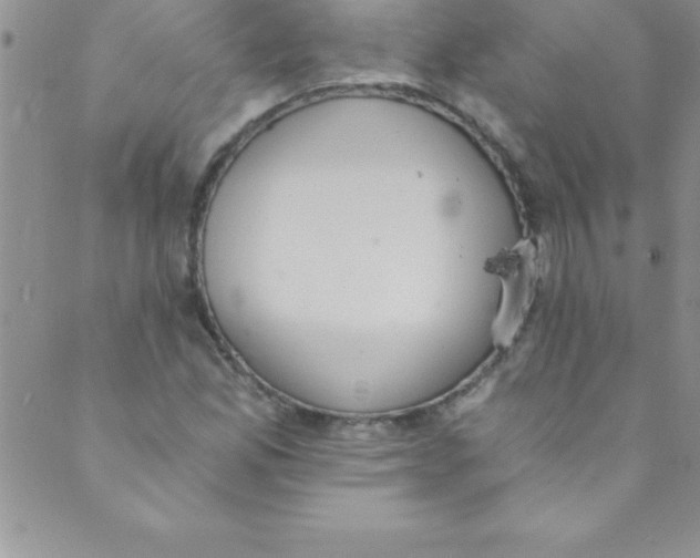 X0000088841165200707051440