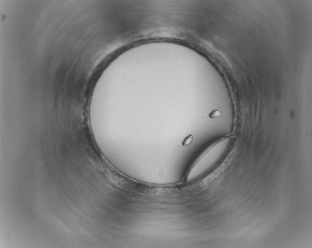 X0000088841166200707051440