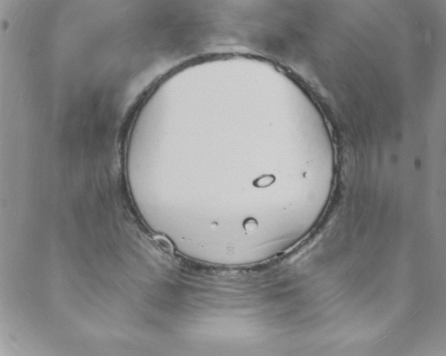 X0000088841167200707051440