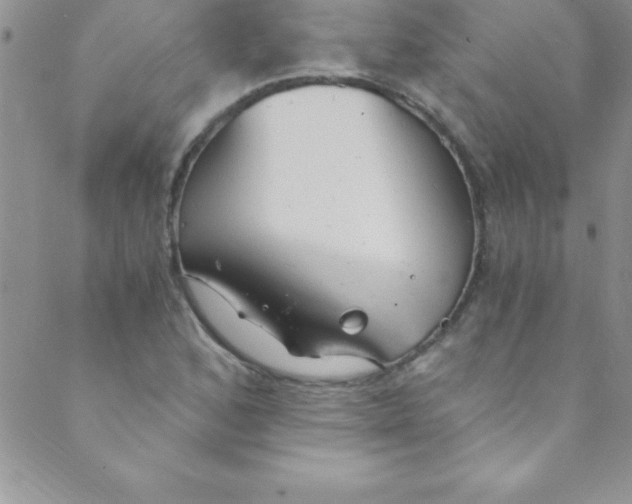 X0000088841168200707051440