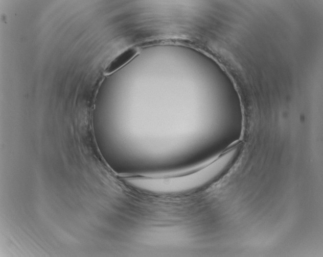 X0000088841169200707051440