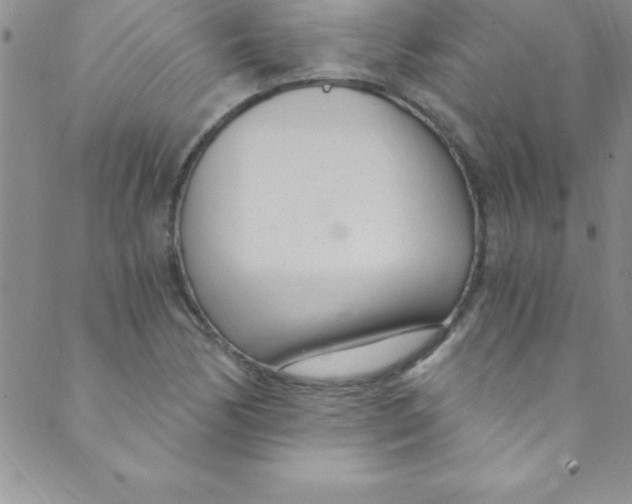 X0000088841170200707051440