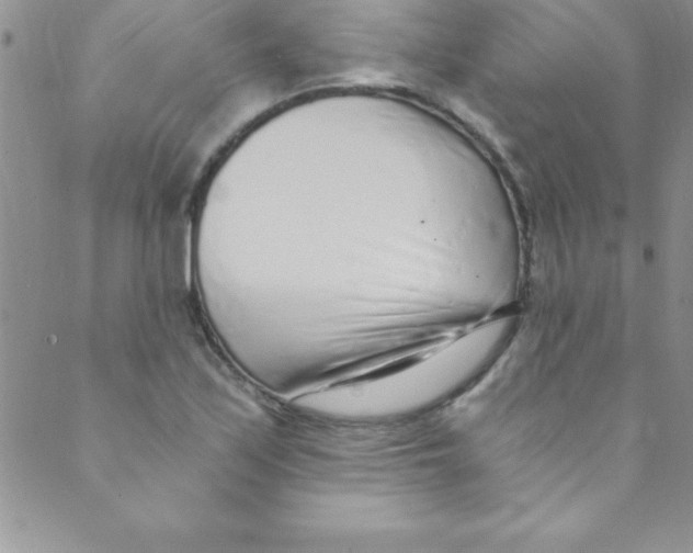 X0000088841171200707051440