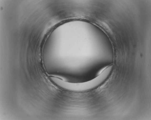 X0000088841172200707051440