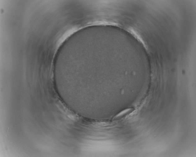 X0000088841173200707051440