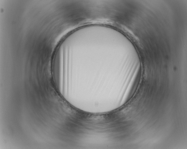 X0000088841174200707051440