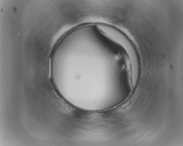 X0000088841175200707051440