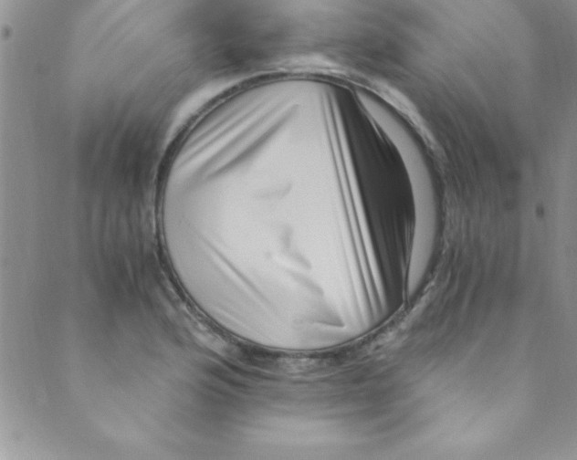 X0000088841176200707051440